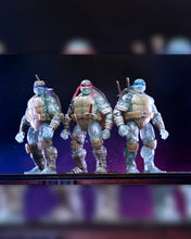 Load image into Gallery viewer, TMNT 7" Scale Figures - IDW Comics - The Last Ronin - Ghost Brothers 3-Pack Maple and Mangoes