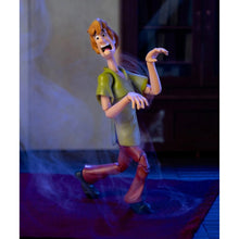 Load image into Gallery viewer, Scooby-Doo! Wave 1 Shaggy 1:12 Scale Action Figure Maple and Mangoes