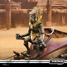 Load image into Gallery viewer, Star Wars: The Vintage Collection Orray & Geonosian Picador Maple and Mangoes
