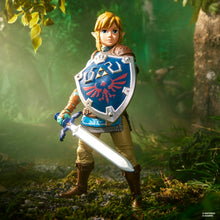 Load image into Gallery viewer, The Legend of Zelda Heroes of Hyrule Tears of the Kingdom Link 6-Inch Action Figure Maple and Mangoes