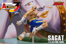 Load image into Gallery viewer, 1/12 Street Fighter ZERO3 Action Figure Sagat Maple and Mangoes