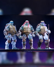 Load image into Gallery viewer, TMNT 7" Scale Figures - IDW Comics - The Last Ronin - Ghost Brothers 3-Pack Maple and Mangoes