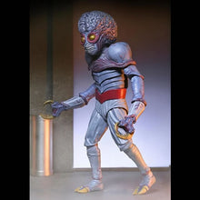 Load image into Gallery viewer, This Island Earth (1955 Movie) 7" Scale Figures - Ultimate Metaluna Mutant Maple and Mangoes