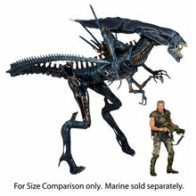 Load image into Gallery viewer, Aliens Figures - Alien Queen Ultra Deluxe Boxed Figure Maple and Mangoes