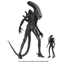 Load image into Gallery viewer, Alien 1/4th Scale Figures - Big Chap 40th Anniversary Ultimate Edition Maple and Mangoes