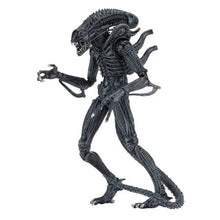 Load image into Gallery viewer, Aliens 7" Scale Figures - Ultimate Alien Warrior (Blue) Maple and Mangoes