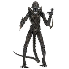 Load image into Gallery viewer, Aliens 7" Scale Figures - Ultimate Alien Warrior (Brown) Maple and Mangoes
