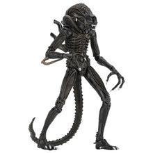 Load image into Gallery viewer, Aliens 7" Scale Figures - Ultimate Alien Warrior (Brown) Maple and Mangoes