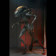Load image into Gallery viewer, Alien: Romulus 7" Scale Figures - Ultimate Scorched Xenomorph Maple and Mangoes