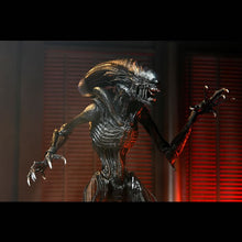 Load image into Gallery viewer, Alien: Romulus 7" Scale Figures - Ultimate Scorched Xenomorph Maple and Mangoes
