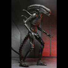 Load image into Gallery viewer, Alien: Romulus 7" Scale Figures - Ultimate Xenomorph XX121 Maple and Mangoes
