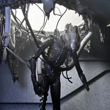 Load image into Gallery viewer, Alien: Romulus 7" Scale Figures - Deluxe Suspended Lab Xenomorph XX121 Maple and Mangoes