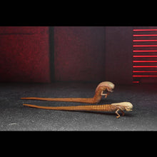 Load image into Gallery viewer, Alien: Romulus 7" Scale Figures - Accessory Set Maple and Mangoes