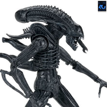 Load image into Gallery viewer, Aliens 7" Scale Figures - 40th Anniversary - Ultimate Alien Warrior (Black) Maple and Mangoes