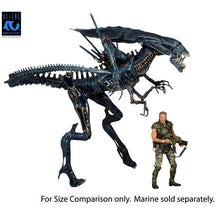 Load image into Gallery viewer, Aliens 7" Scale Figures - 40th Anniversary - Alien Queen Ultra Deluxe Boxed Figure Maple and Mangoes