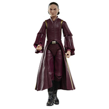 Load image into Gallery viewer, Star Wars The Black Series Padmé Amidala 6-Inch Action Figure Maple and Mangoes