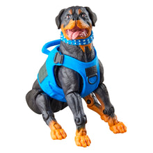 Load image into Gallery viewer, G.I. Joe Classified Series Mad Marauders Footloose, Mutt, & Junkyard 6-Inch Action Figures Maple and Mangoes