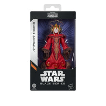 Load image into Gallery viewer,
Star Wars Black Series Queen Amidala 6-Inch Action Figure Maple and Mangoes