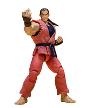 Load image into Gallery viewer, Storm Arena Street Fighter ZERO3 Dan Maple and Mangoes