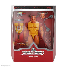 Load image into Gallery viewer, SilverHawks Ultimates Mumbo Jumbo 7-Inch Action Figure Maple and Mangoes