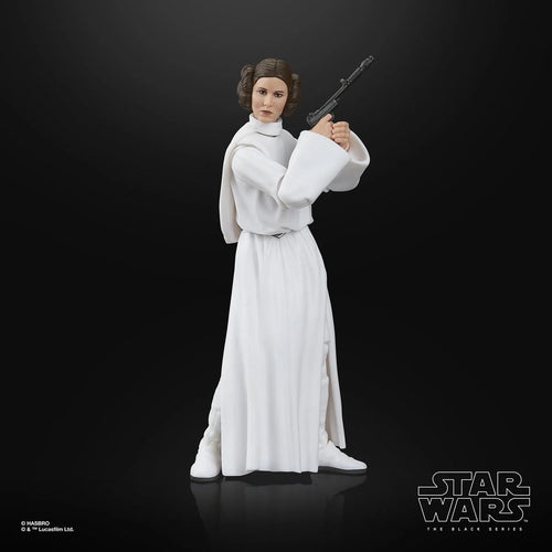 Star Wars The Black Series Princess Leia Organa 6-Inch Action Figure Maple and Mangoes