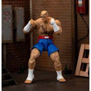 Ultra Street Fighter II Sagat 6-Inch Scale Deluxe Action Figure Maple and Mangoes