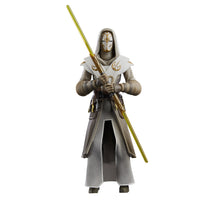Load image into Gallery viewer, STAR WARS The Black Series Jedi Temple Guard Maple and Mangoes
