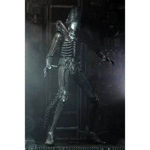 Alien 7" Scale Action Figures - Ultimate 40th Anniversary Big Chap Maple and Mangoes