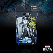 Load image into Gallery viewer, Marvel Legends Series Silver Surfer 6-inch Action Figure Maple and Mangoes
