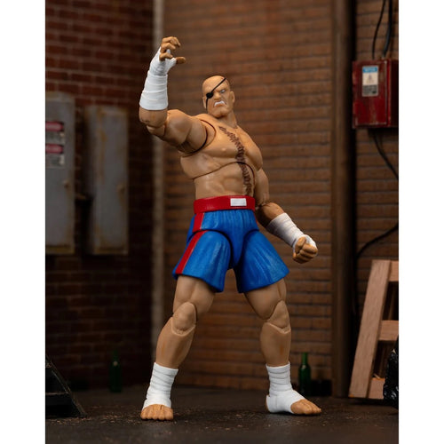 Ultra Street Fighter II Sagat 6-Inch Scale Deluxe Action Figure Maple and Mangoes