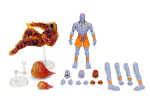 Jada Toys 6" Street Fighter Dhalsim(Grey) Action Figure SDCC Exclusive Maple and Mangoes