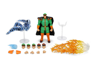 Jada Toys 6" Street Fighter M. Bison(Green) Action Figure SDCC Exclusive Maple and Mangoes