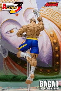 1/12 Street Fighter ZERO3 Action Figure Sagat Maple and Mangoes