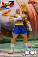 Load image into Gallery viewer, 1/12 Street Fighter ZERO3 Action Figure Sagat Maple and Mangoes
