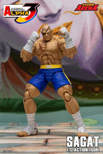 Load image into Gallery viewer, 1/12 Street Fighter ZERO3 Action Figure Sagat Maple and Mangoes
