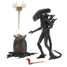Load image into Gallery viewer, Alien 7&quot; Scale Action Figures - Ultimate 40th Anniversary Big Chap Maple and Mangoes
