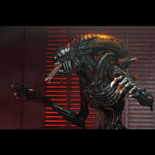 Load image into Gallery viewer, Alien: Romulus 7&quot; Scale Figures - Ultimate Scorched Xenomorph Maple and Mangoes
