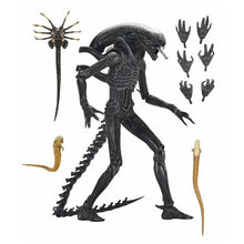 Load image into Gallery viewer, Alien: Romulus 7&quot; Scale Figures - Ultimate Xenomorph XX121 Maple and Mangoes
