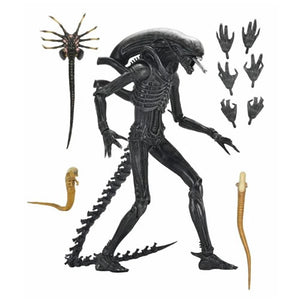 Alien: Romulus 7" Scale Figures - Ultimate Xenomorph XX121 Maple and Mangoes