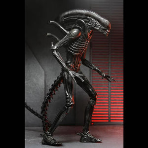 Alien: Romulus 7" Scale Figures - Ultimate Xenomorph XX121 Maple and Mangoes