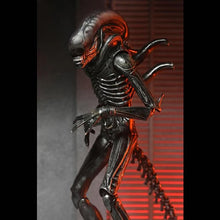 Load image into Gallery viewer, Alien: Romulus 7&quot; Scale Figures - Ultimate Xenomorph XX121 Maple and Mangoes
