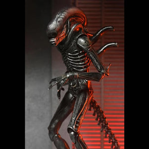 Alien: Romulus 7" Scale Figures - Ultimate Xenomorph XX121 Maple and Mangoes