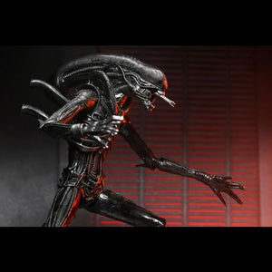 Alien: Romulus 7" Scale Figures - Ultimate Xenomorph XX121 Maple and Mangoes