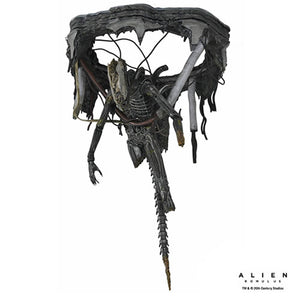 Alien: Romulus 7" Scale Figures - Deluxe Suspended Lab Xenomorph XX121 Maple and Mangoes