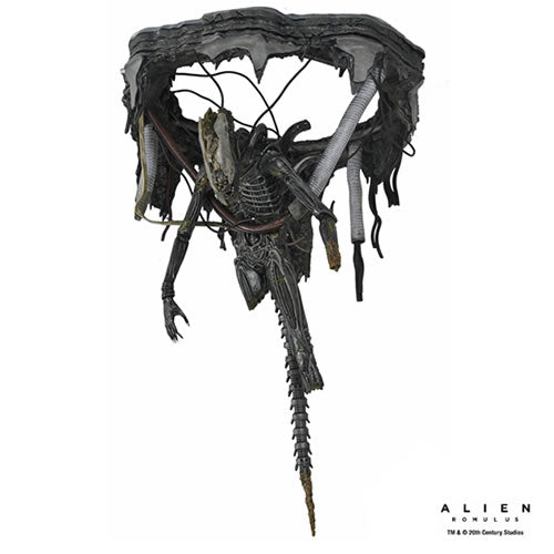 Alien: Romulus 7