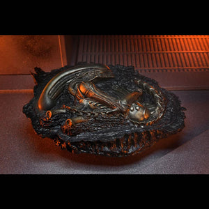 Alien: Romulus 7" Scale Figures - Accessory Set Maple and Mangoes