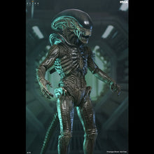Load image into Gallery viewer, Alien Earth 7" Scale Figures - Ultimate Xenomorph Maple and Mangoes
