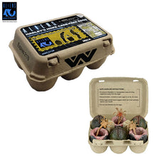 Load image into Gallery viewer, Aliens 7" Scale Accessories - 40th Anniversary - Carton Of Alien Eggs 6-Pack Maple and Mangoes
