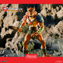 Load image into Gallery viewer, S7 ULTIMATES! Figures - ThunderCats - W16 - Jackalman (Cartoon) Maple and Mangoes
