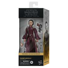 Load image into Gallery viewer, Star Wars The Black Series Padmé Amidala 6-Inch Action Figure Maple and Mangoes
